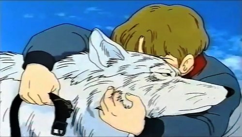 White Wolf