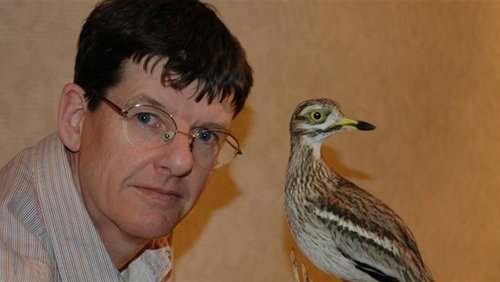 Taxidermy: Stuff the World