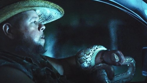 The Python Hunt
