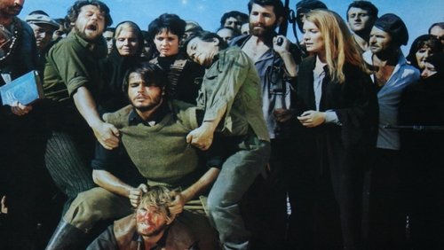 The Brave Bunch