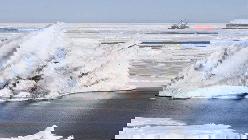 Into the Artic: Awakening