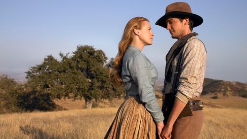 Love's Abiding Joy