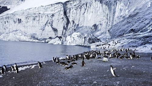 Antarctica: The Frozen Time
