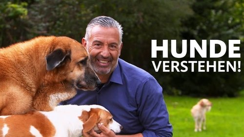 Hunde verstehen!