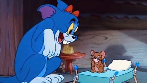 Nit-Witty Kitty