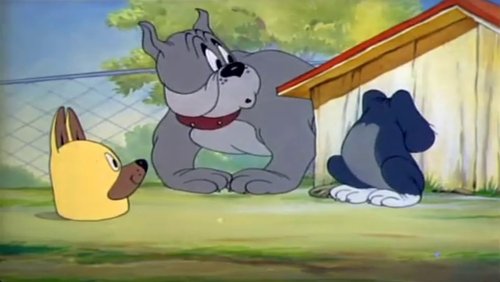 Puttin' on the Dog