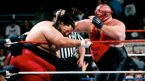 WWE In Your House 8: Beware of Dog
