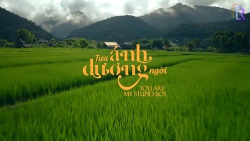 You Are My Stupid Boy