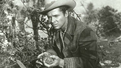 Tumbleweed
