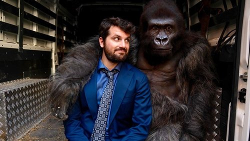 Beware the Gorilla