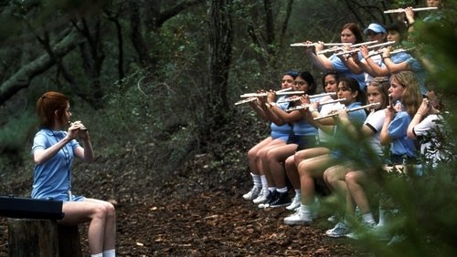 American Pie 2
