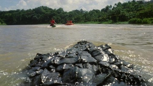 Killer Crocodile 2
