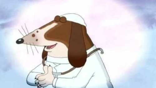 Dr. Dog