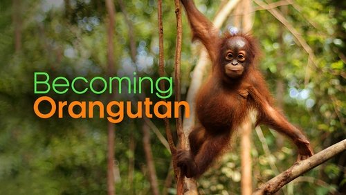 Becoming Orangutan