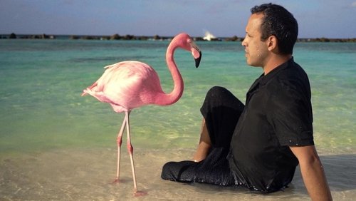 The Mystery of the Pink Flamingo