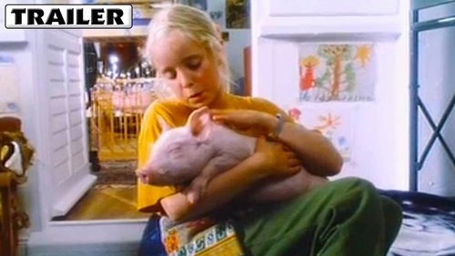 Rudy, the Racing Pig