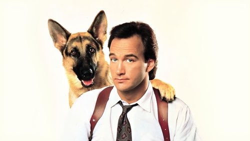 K-9