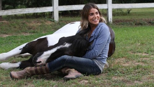 A Sunday Horse