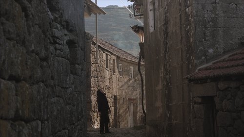 Bostofrio