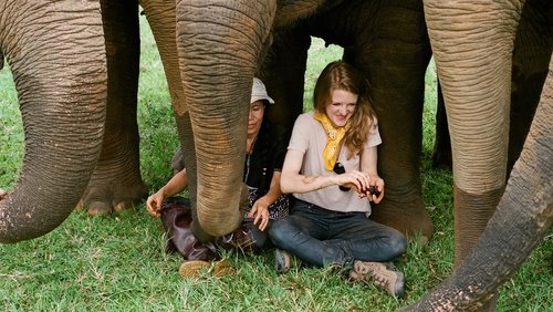 Love & Bananas: An Elephant Story
