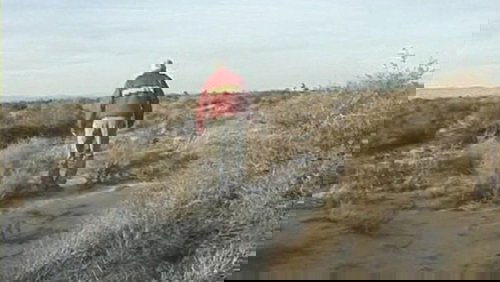 The Wicksboro Incident