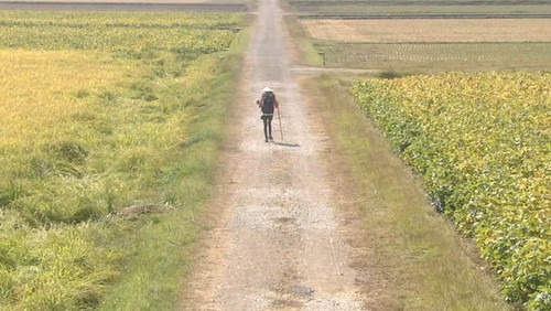 Walk, Walk, Walk ~ Shikoku Pilgrimage Journey