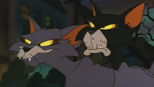 Felidae