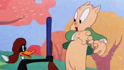 My Favorite Duck