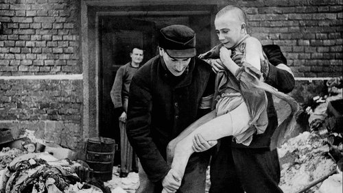 Auschwitz, les unités de la mort