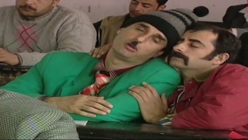 عش المجانين