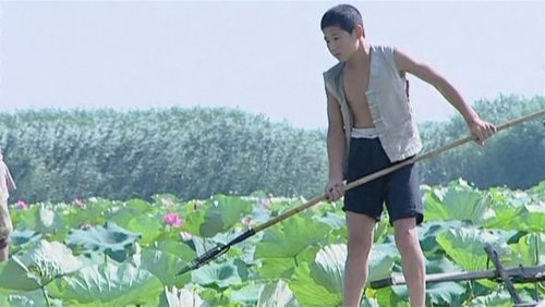 小兵张嘎