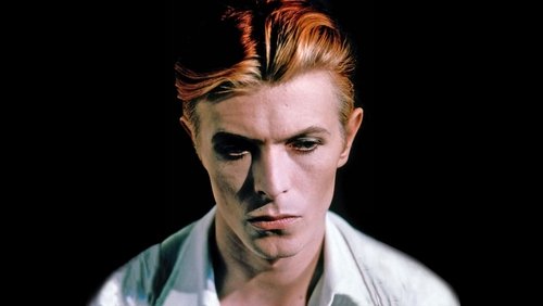 The Man Who Fell to Earth