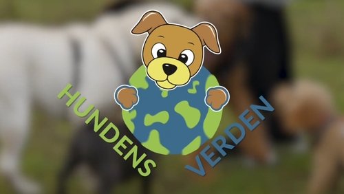 Hundens verden