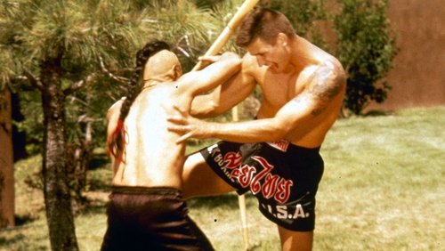 Kickboxer 4: The Aggressor