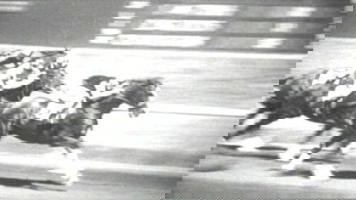 Hollywood Handicap