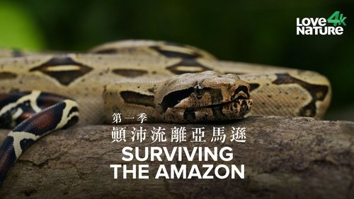 Surviving the Amazon