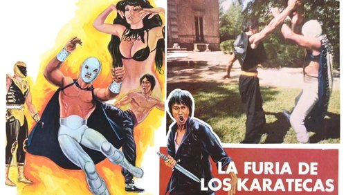 The Fury of the Karate Experts