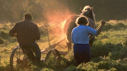 The Farmer's Time on Earth