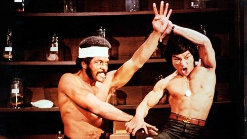 Kung Fu Fever