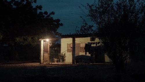 Audio and the Alligator