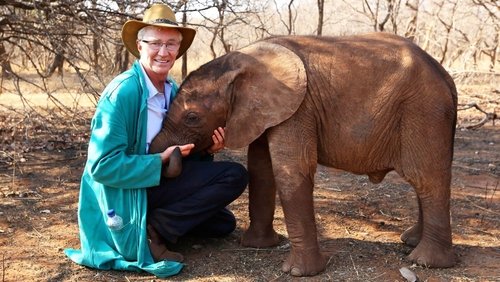 Paul O'Grady's Animal Orphans