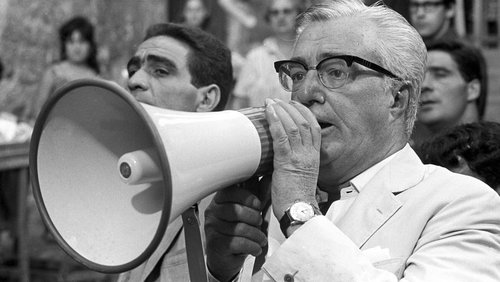 Vittorio D.