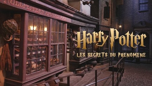 Harry Potter : les secrets du phénomène
