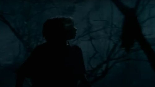 The Werewolf of Fever Swamp