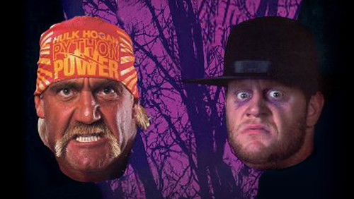 WWE Survivor Series 1991