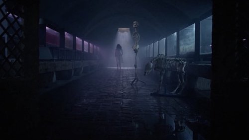 School of Fear