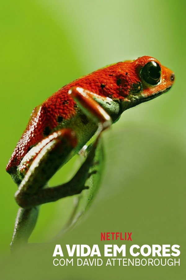 Pôster de A Vida em Cores com David Attenborough (2021)