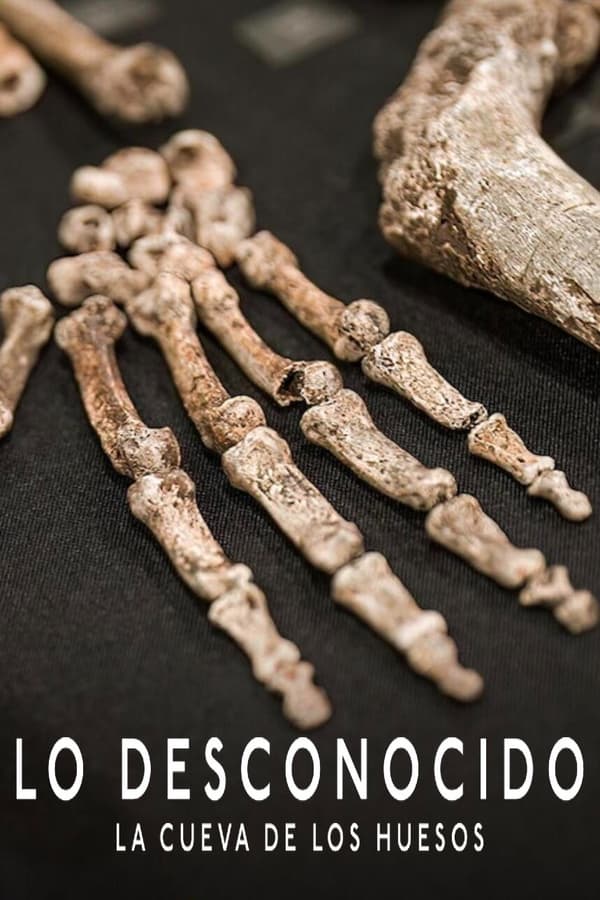 Científicos analizan pruebas subterráneas de hace más de 250.000 años que plantean preguntas sobre los primeros parientes del hombre actual y lo que significa ser humano.