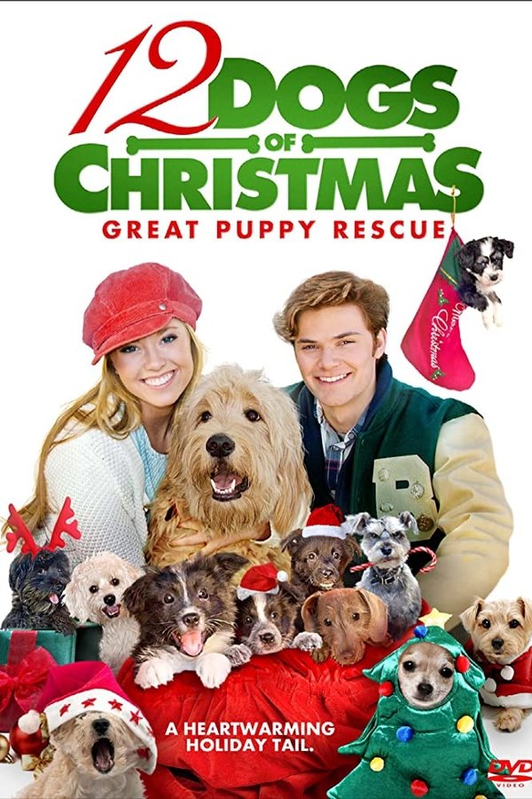 The dogs of Doverville are in trouble again... but Emma O