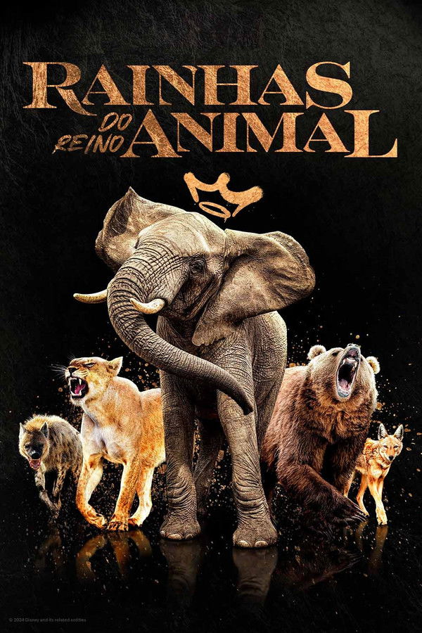 Pôster de Rainhas do Reino Animal (2024)